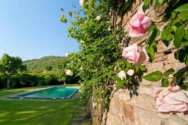 Villa Organi Vaiano エクステリア 写真